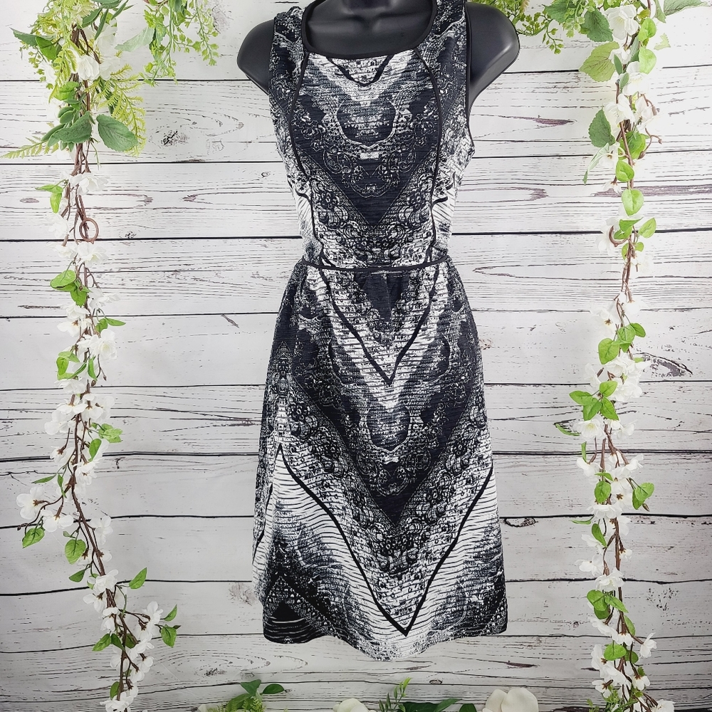 Loft Sleeveless Fit and Flare Dress